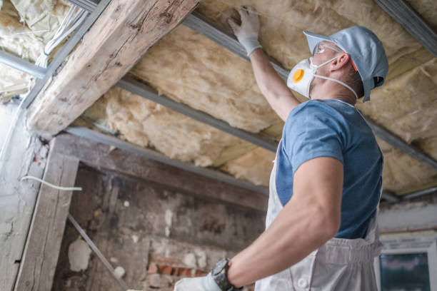 Best Residential Insulation in Clayton, MO