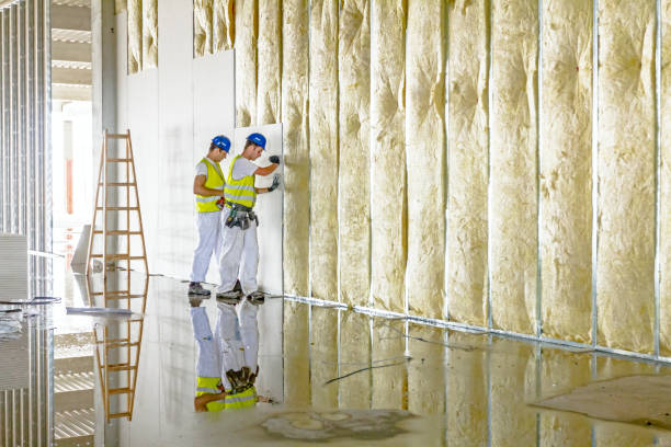 Best Geographic-Specific Insulation Services in Clayton, MO